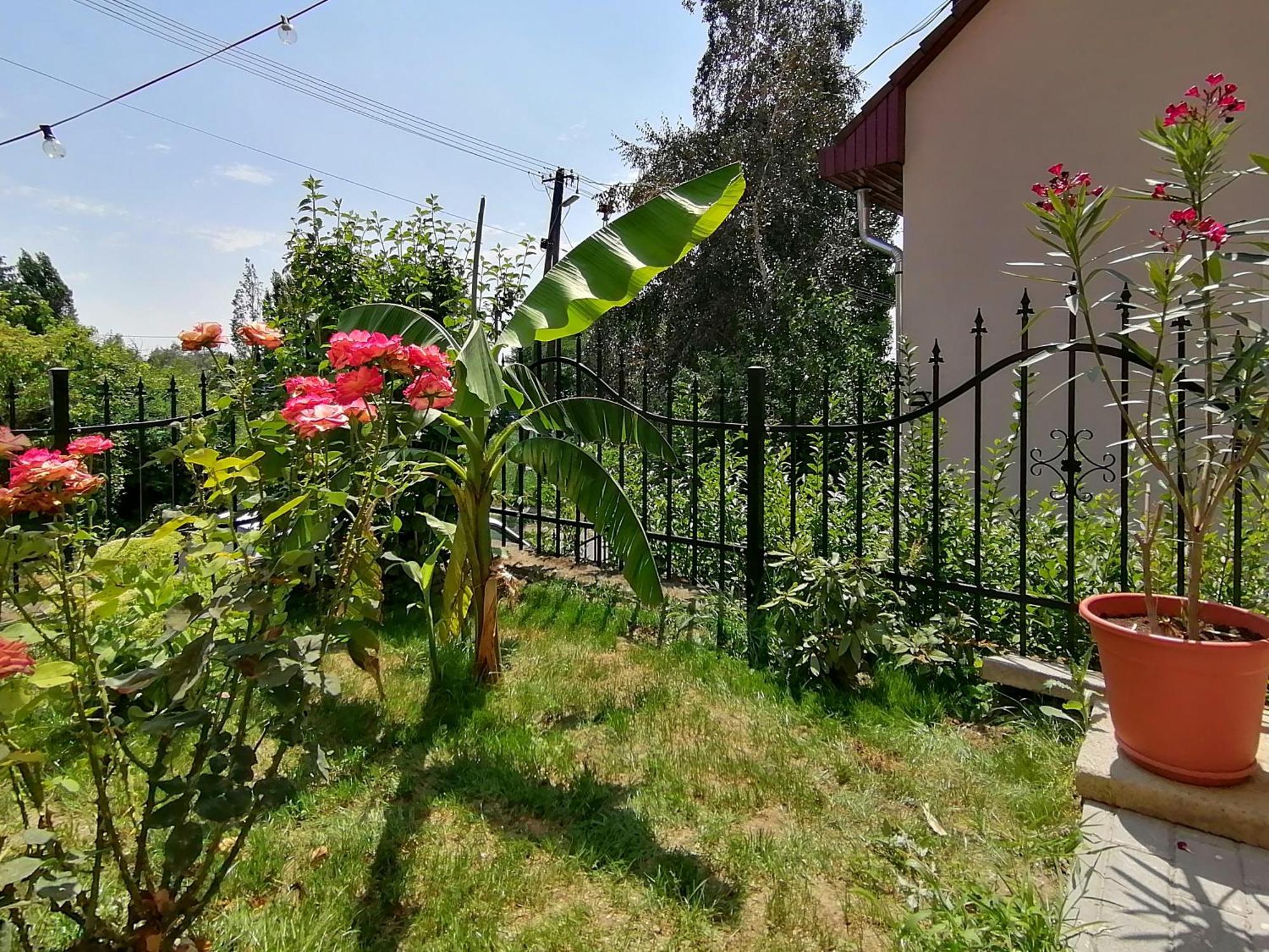 Mi Casa Vendeghaz - Apartments Eger Luaran gambar