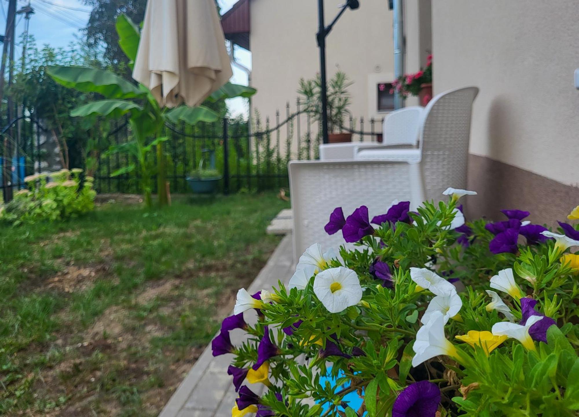 Mi Casa Vendeghaz - Apartments Eger Luaran gambar